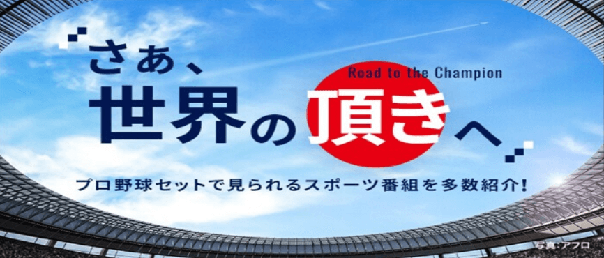 スカパープロ野球セット（広島カープを含むプロ野球全試合を配信）