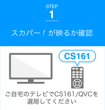 スカパーがテレビに映らなくても視聴可能