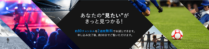 2週間無料体験